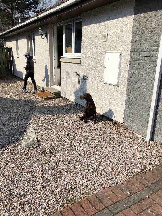 Linmore Aviemore Exterior foto